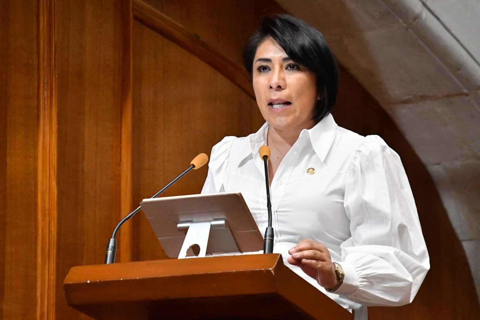 Proponen cinco años de cárcel por atentar contra pensiones alimenticias