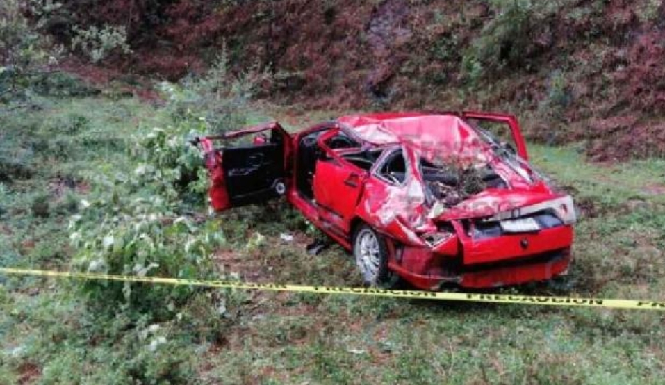 Dos muertos y una herida, tras caerles árbol sobre la Toluca-Zitácuaro