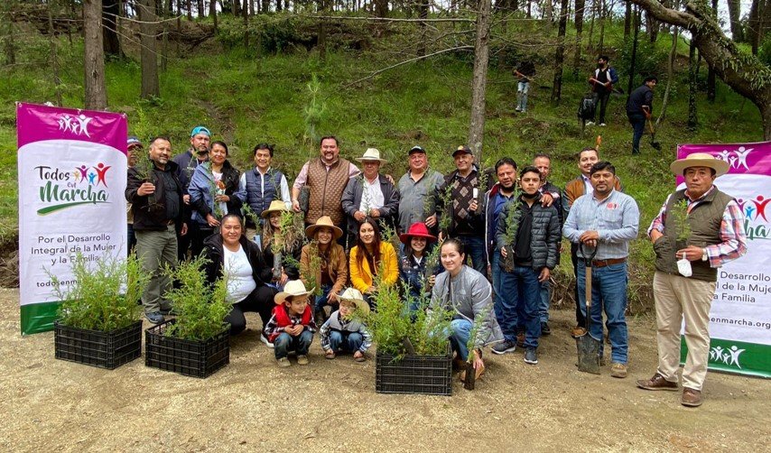 Todos en Marcha se suma a Campaña de Reforestación