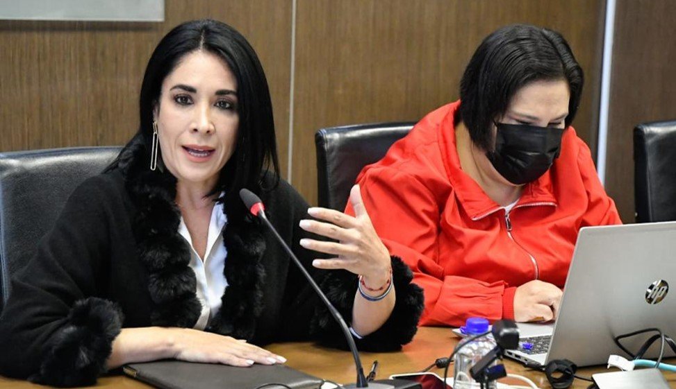 En Análisis 815 Iniciativas Para Robustecer Protección de Mujeres: Karina Labastida