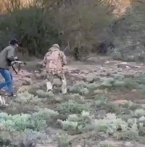 Filtran video de cazador mexicano cazado por búfalo en Argentina