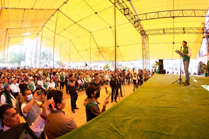 Dirigencia nacional del #PVEM no tirará línea en #Edoméx
