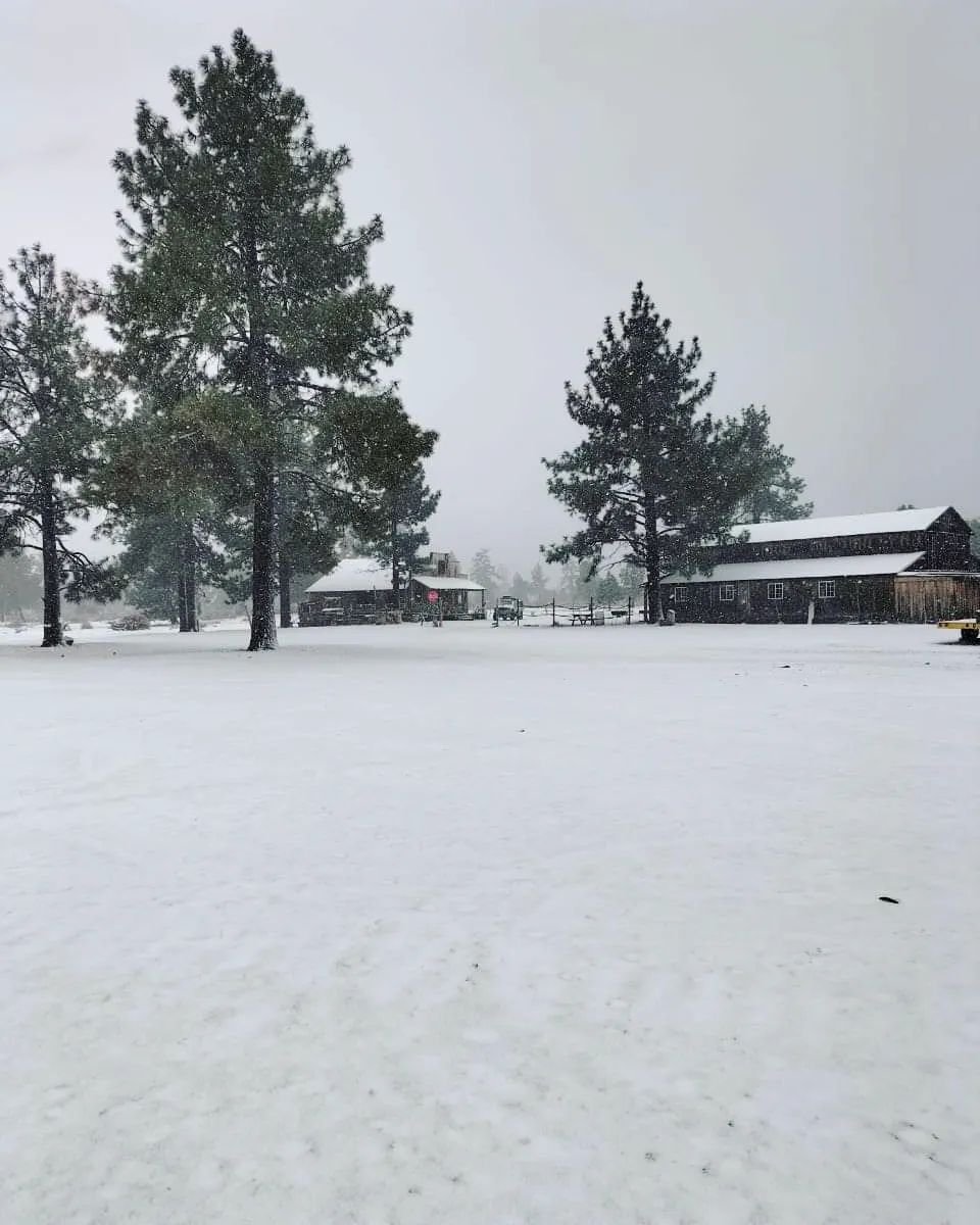 Tormenta invernal en el Nevado de Toluca. Fotos