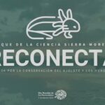 "Reconecta", actividades para conmemorar al Ajolote y el Día Mundial de los Humedales en Toluca y Metepec