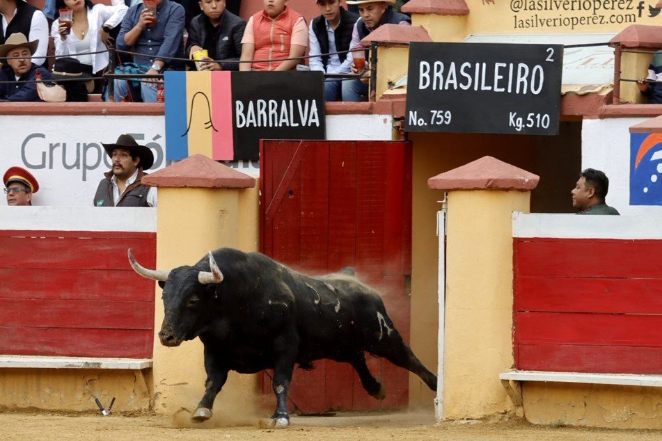 Última Corrida en Texcoco: Calita y Saldívar dos orejas; Garza Gaona falla con el acero