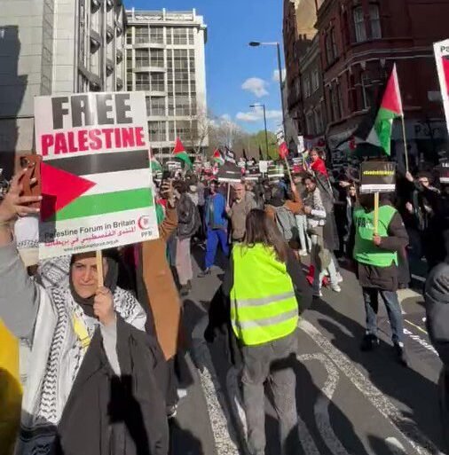 Solidaridad global con Palestina ante nuevo embate bélico de Israel