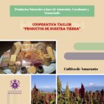 CHDZL y Cooperativa Yaxlum ofrecen productos naturales de Amaranto, Cacahuate y Tamarindo