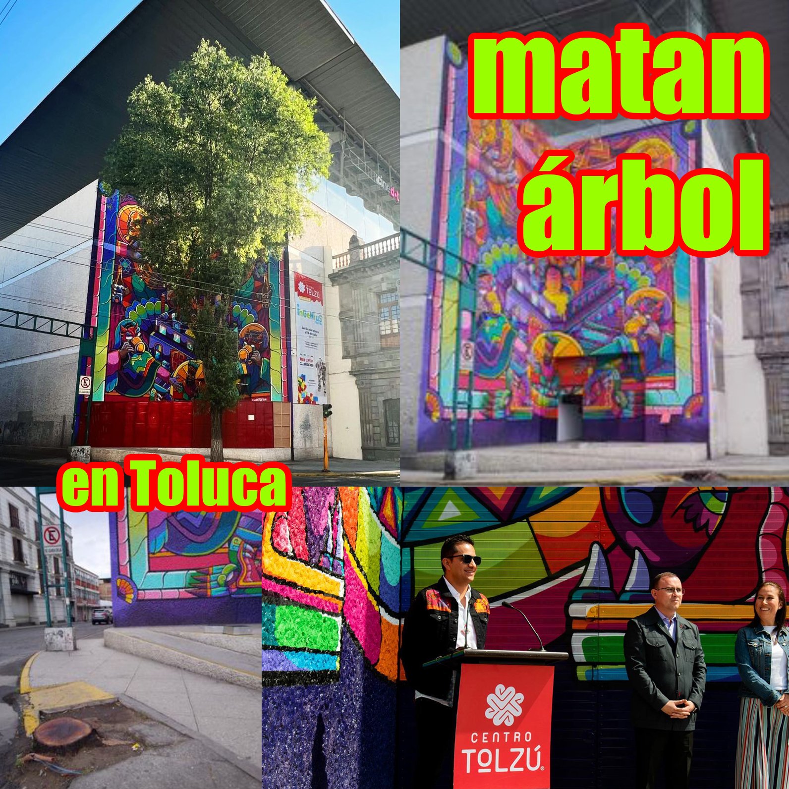 Centro Tolzú destruye enorme árbol en el centro de #Toluca para destacar una pared