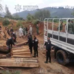 Confiscan aserradero clandestino en #Xonacatlán