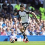 Fulham - Tottenham; con gol de Raúl Jiménez los cottagers dan la sorpresa en Copa Inglesa. Video