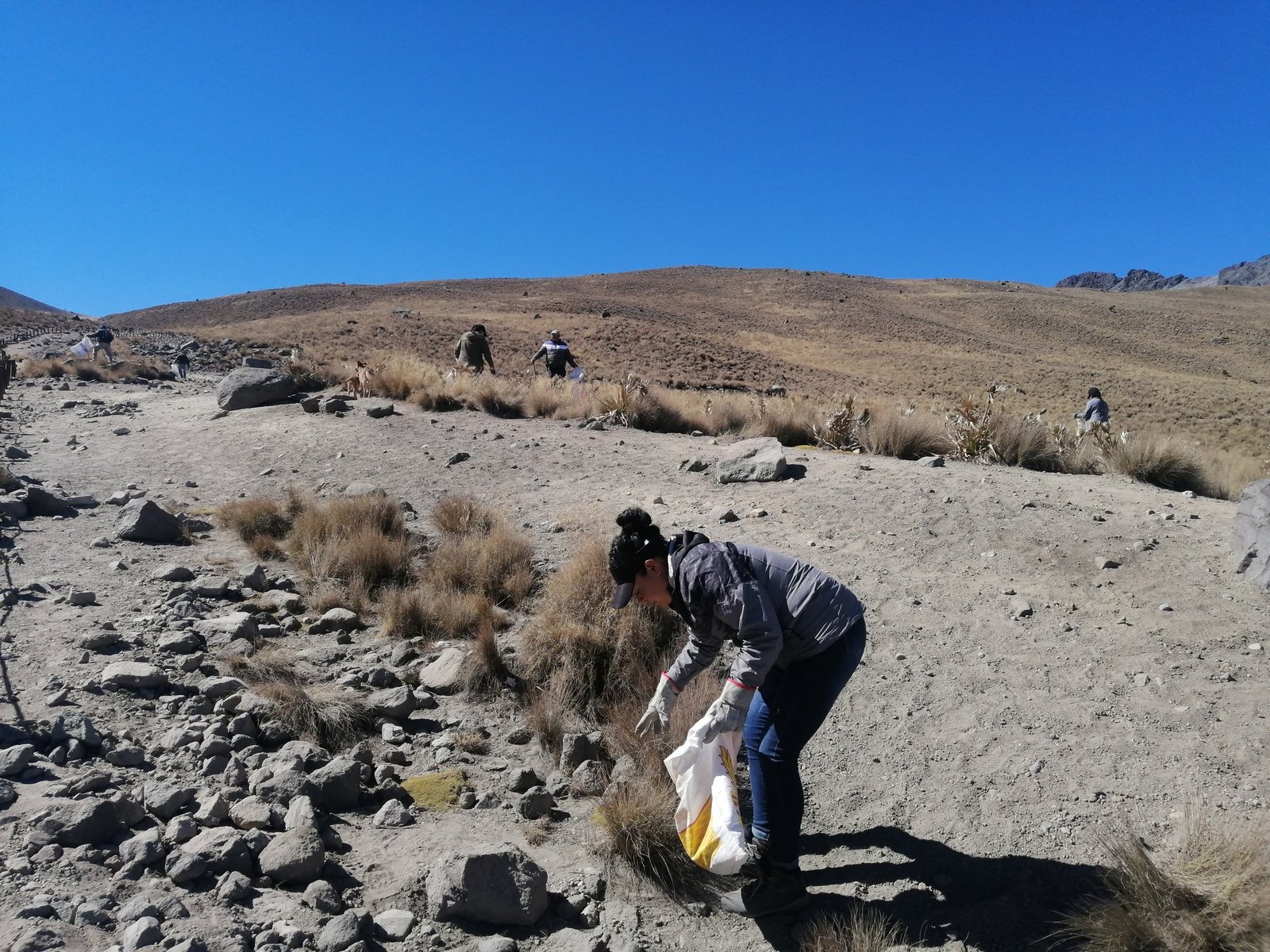 ¡Participa! Primera campaña de limpieza 2024 en el Nevado de #Toluca