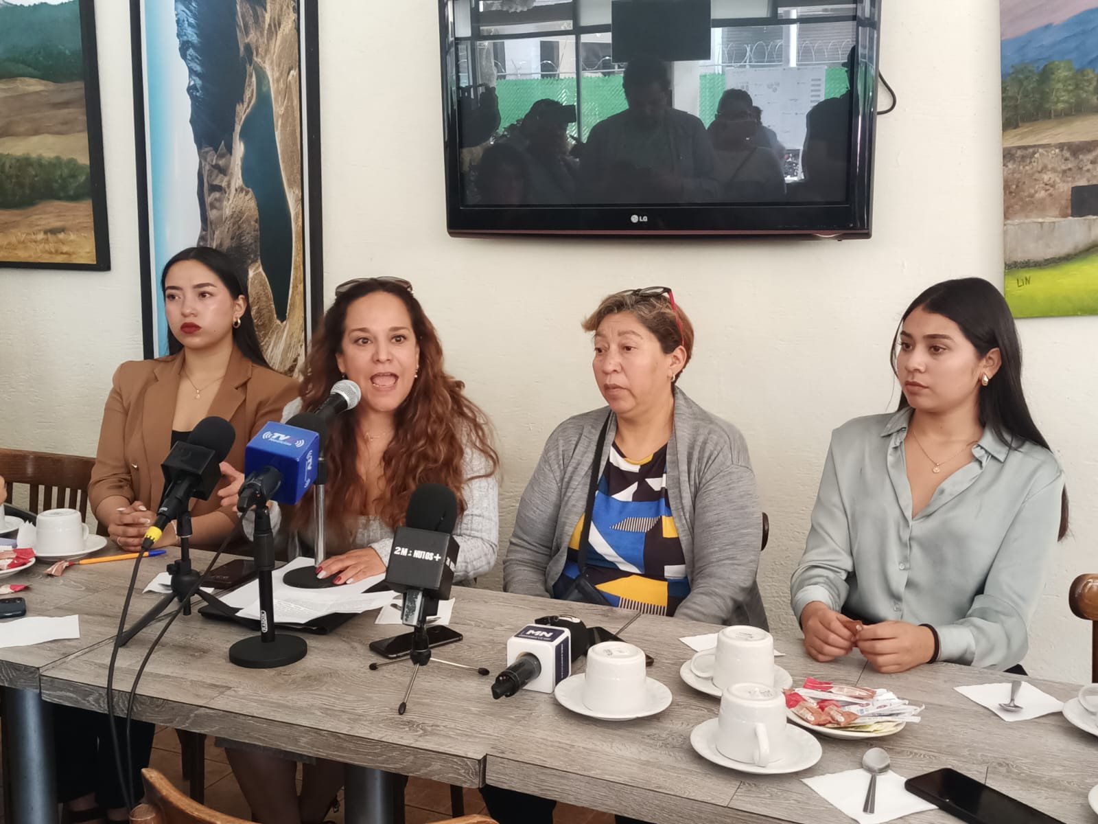 Denuncian negligencia en sentencia de Mónica Rosales