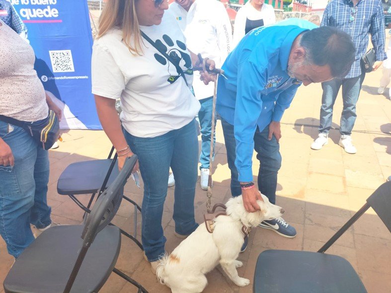 En #Metepec, protectores de animales reconocen a Fernando Flores como gobernante animalista