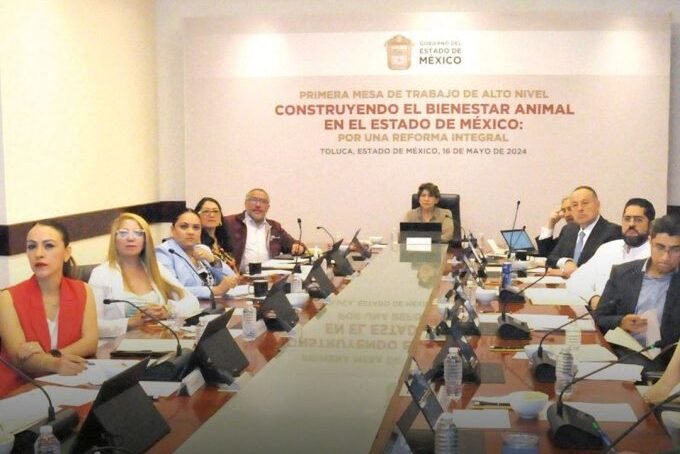 Edoméx avanza rumbo a convertirse en referente del bienestar animal