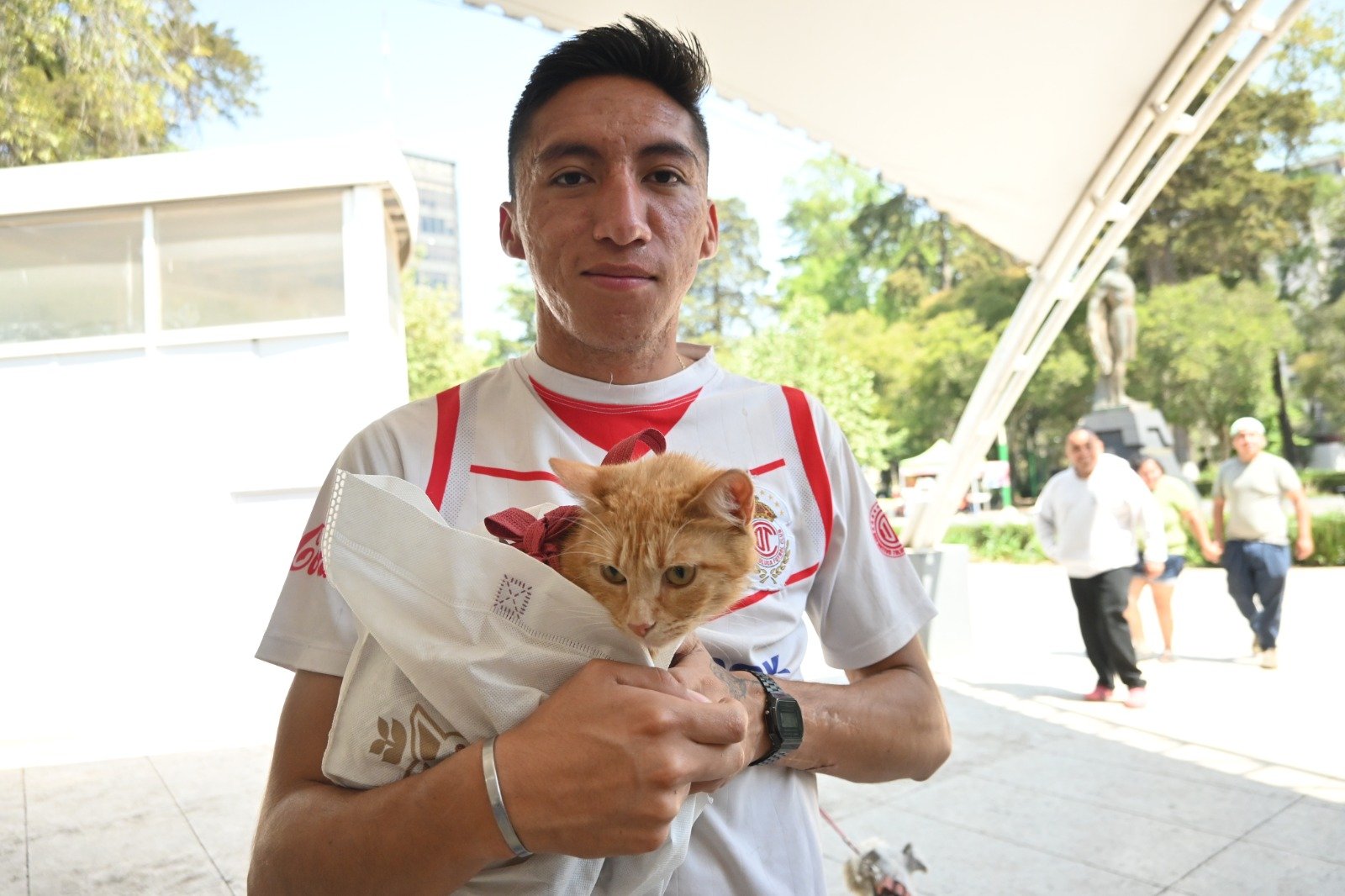 Campaña de esterilización de mascotas en #Toluca