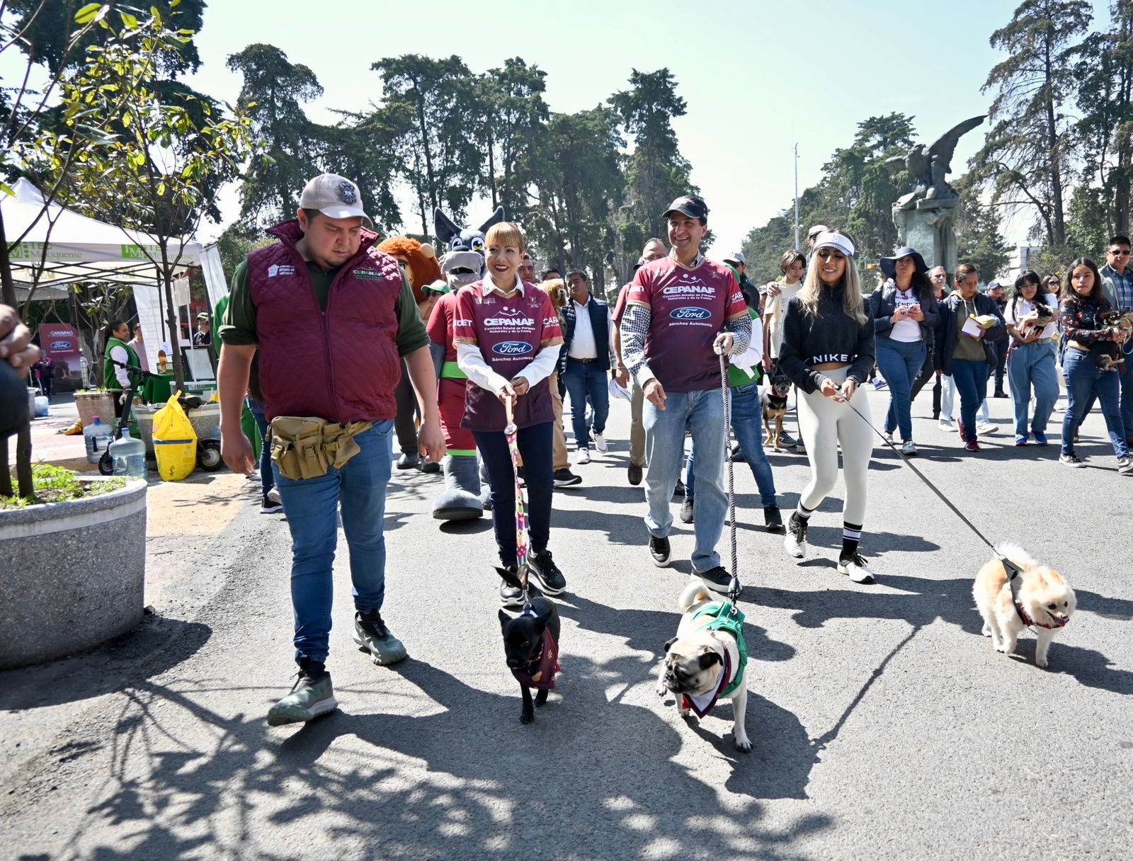 Llega la Caravana por el Bienestar Animal a Toluca