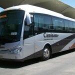 autobus_caminante