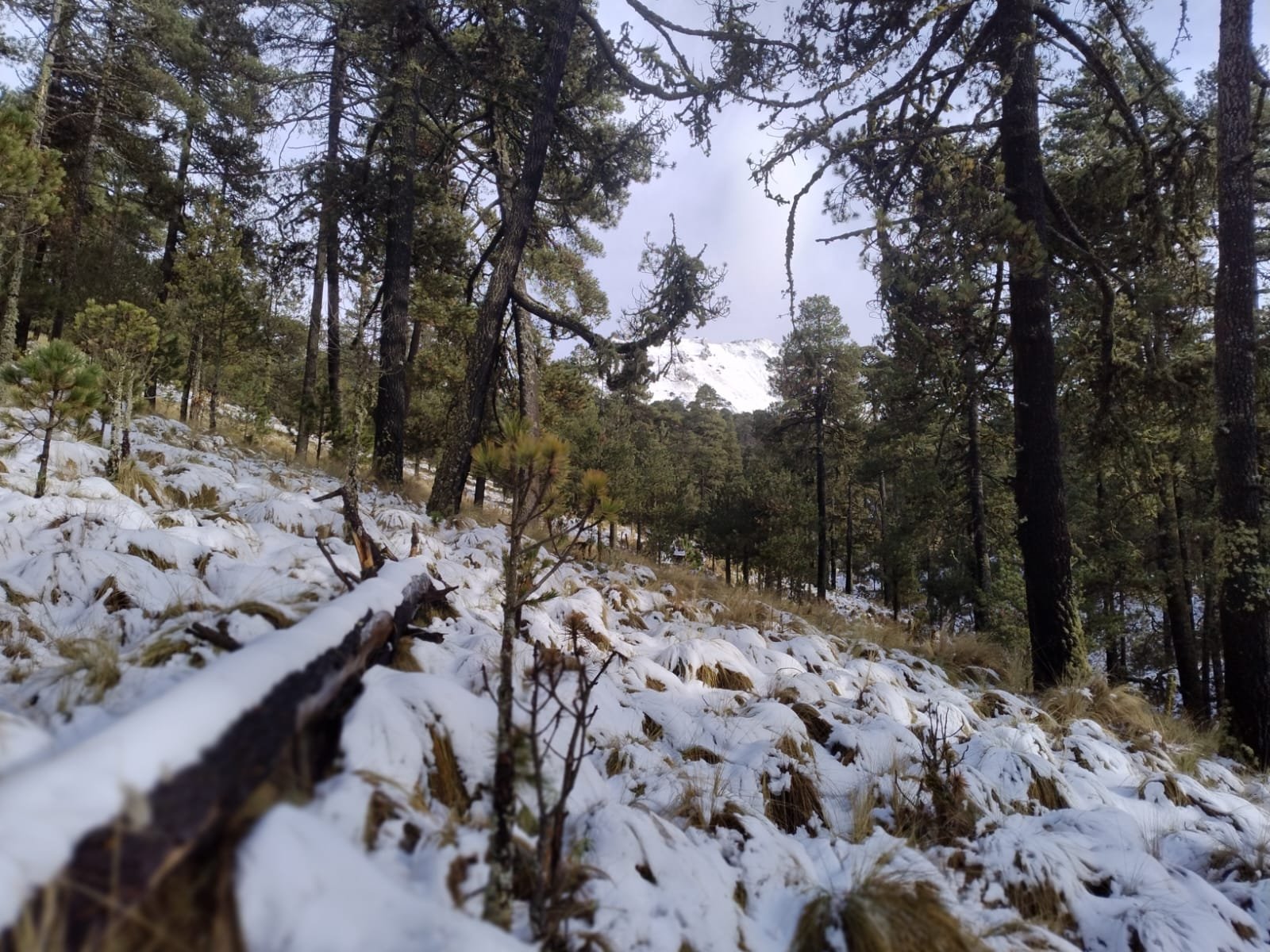 OJO: Cierran accesos al Nevado de Toluca ante llegada de Frente Frío