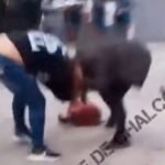 video_pelea_madres_hijas_afuera_secundaria_chalco_edomex_rina_campal_2