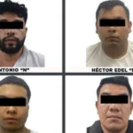 WhatsApp Image 2025-02-26 at 20.14.54