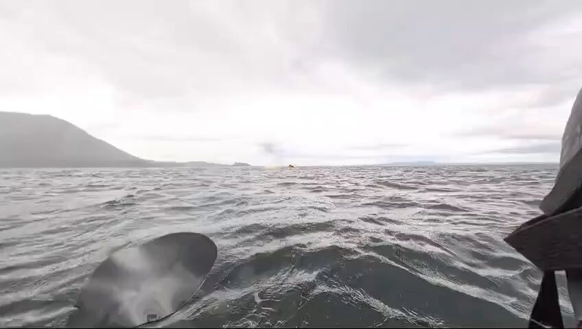 Joven es devorado por una ballena y vive para contarlo. Video