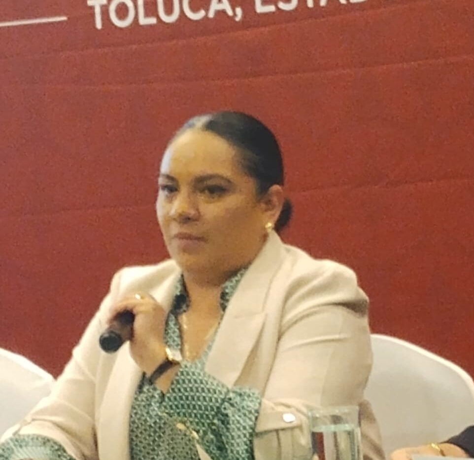 Solo el 15% de vehículos son verificados en el Valle de Toluca: Alhely Rubio Arronis