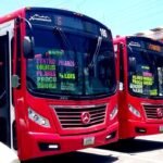 noticias_20210701180234_1247