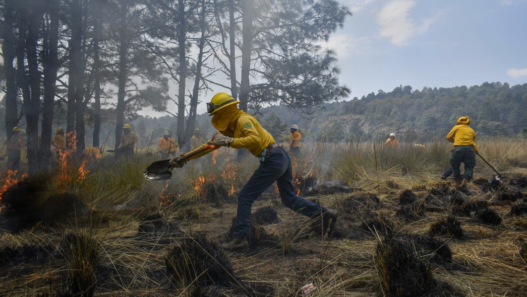 EdoMéx endurece penas por incendios forestales: hasta 10 años de prisión y sanciones adicionales