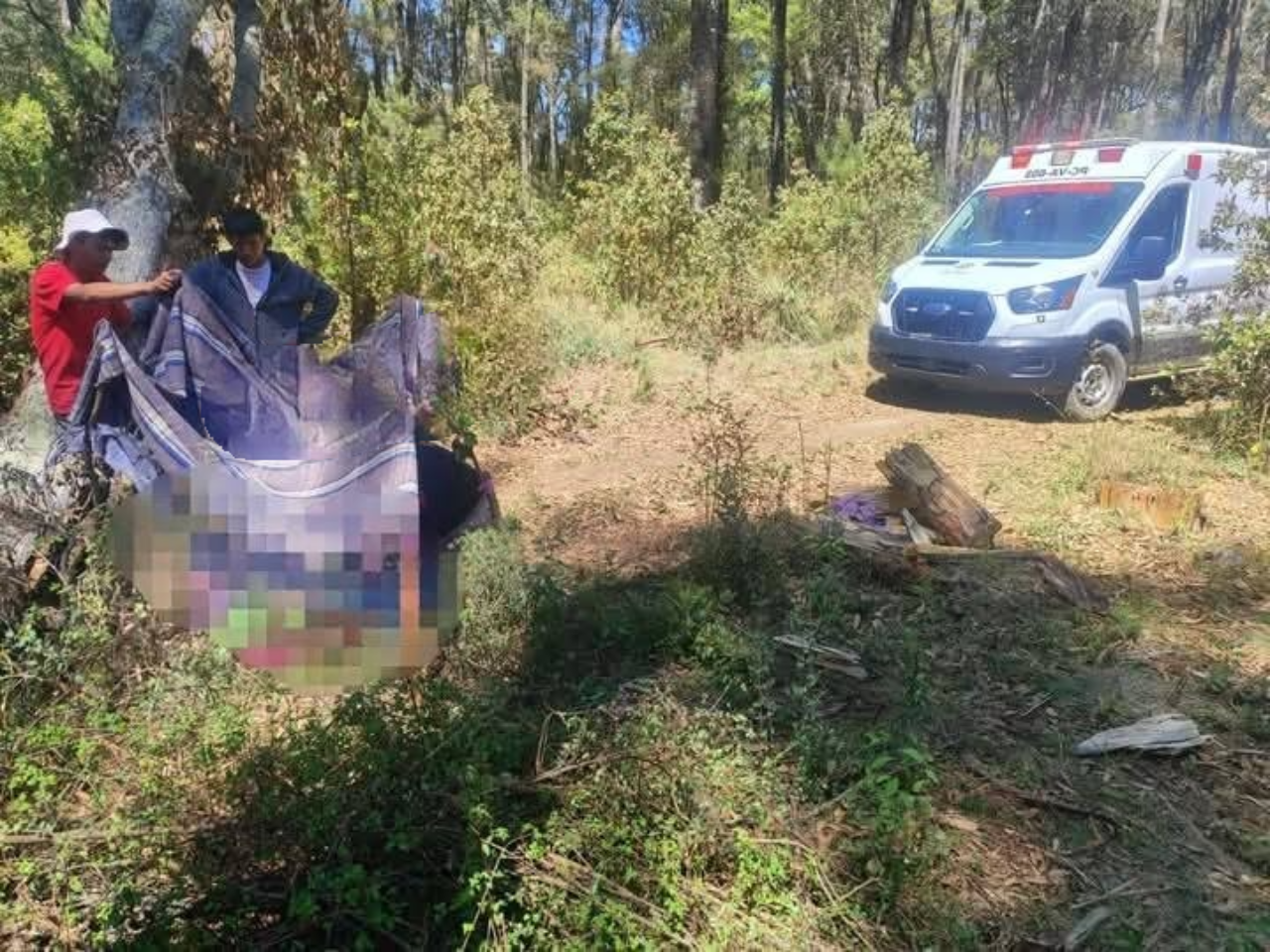 Tragedia en #VillaDeAllende, mujer pierde la vida tras caerle árbol encima