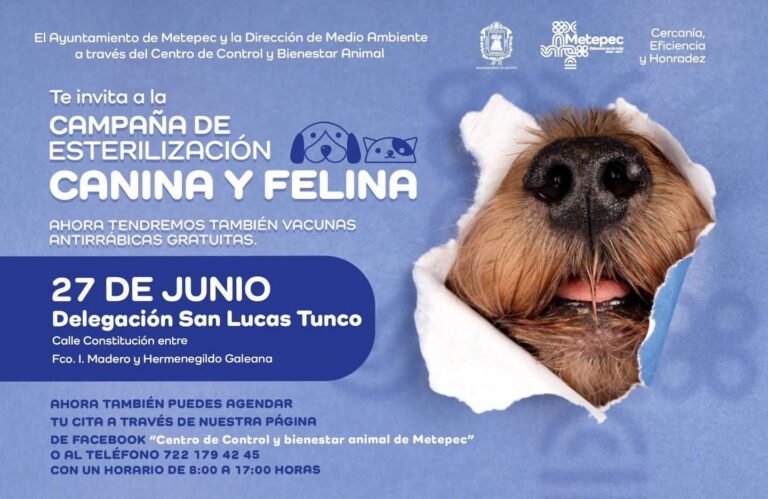 Campaña gratuita de esterilización canina y felina en #Metepec