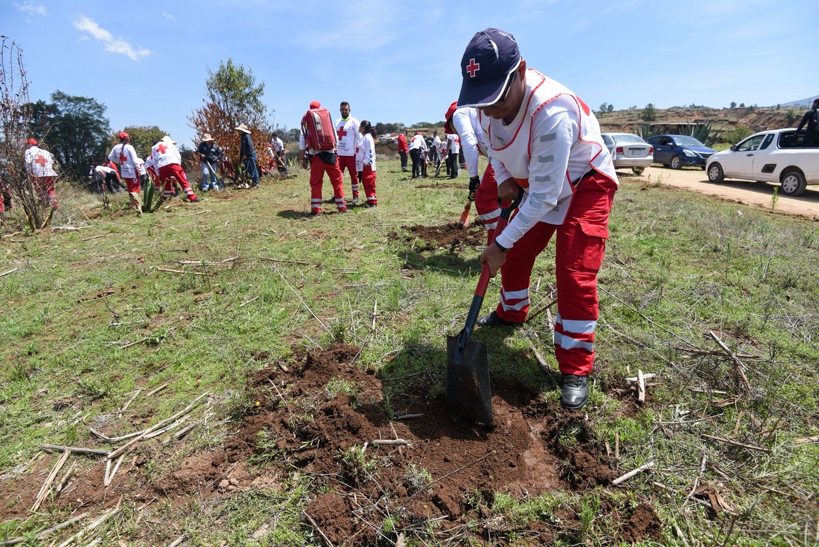 Cruz Roja Estado de México conmemora Día Mundial del Ambiente con restauración forestal en Temoaya