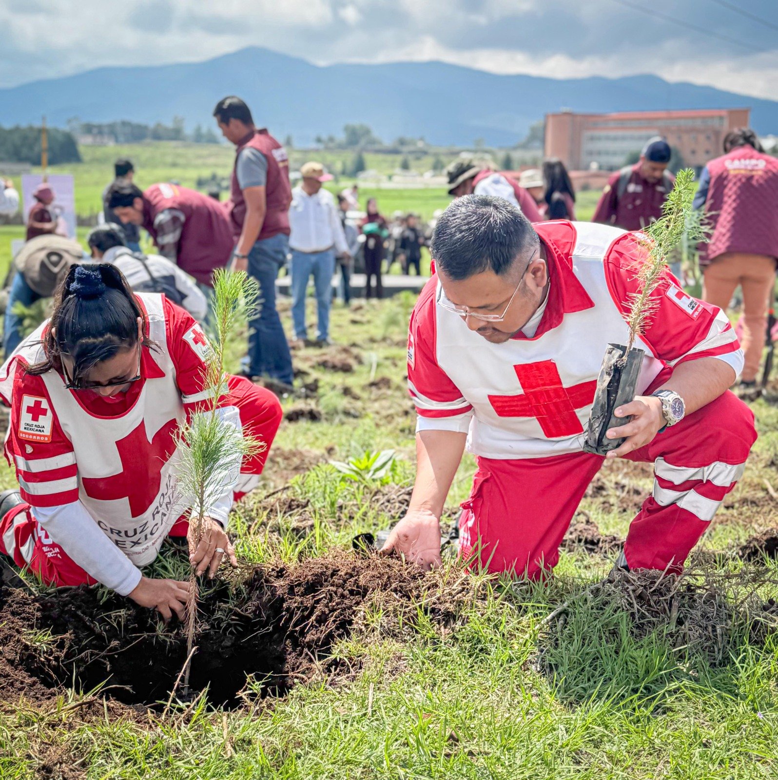 Cruz Roja Mexicana impulsa restauración de ecosistemas en el Estado de México