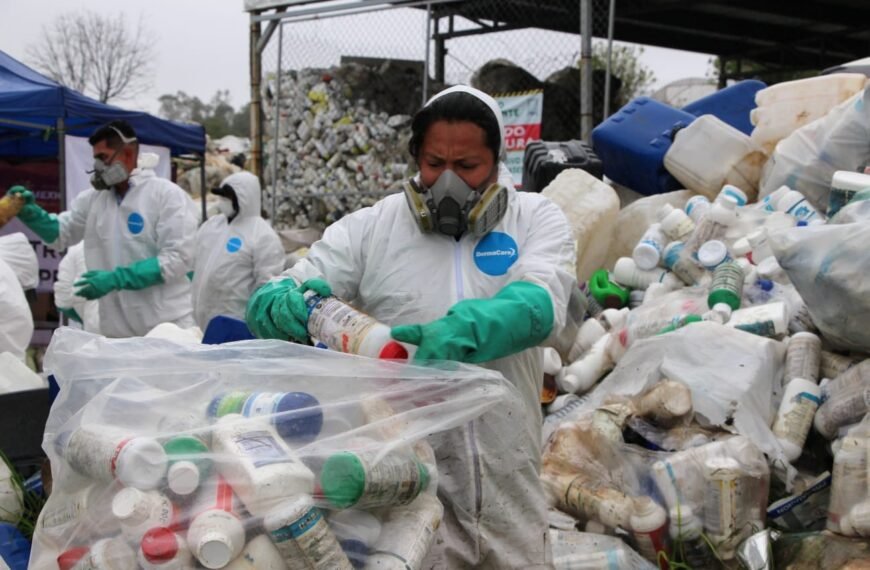 Recolectan en Edoméx 38 toneladas de envases agroquímicos para prevenir contaminación