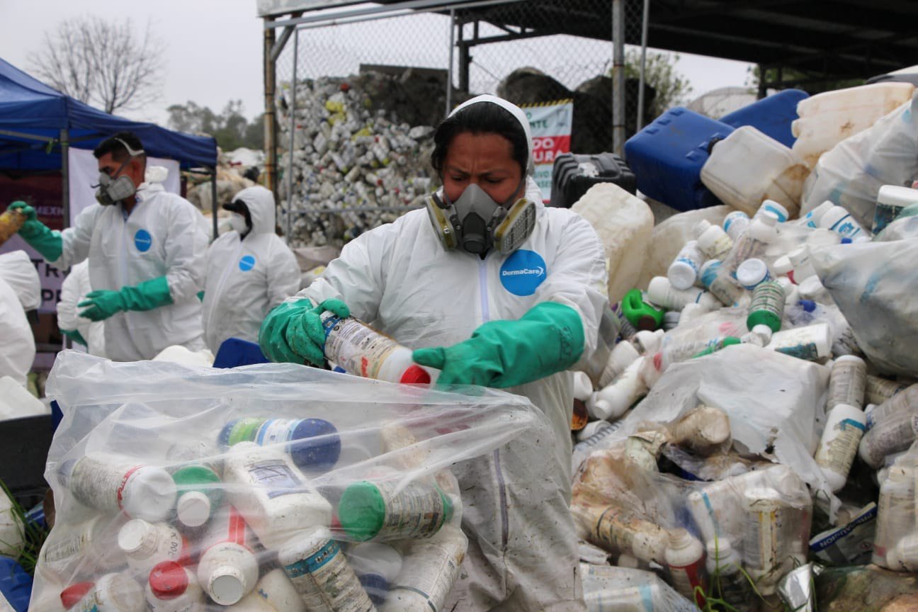 Recolectan en Edoméx 38 toneladas de envases agroquímicos para prevenir contaminación