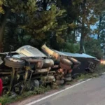 68324131824978486670018