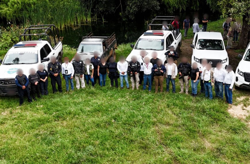 Profepa desmantela plantío ilegal de aguacate en zona forestal de Michoacán