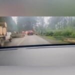 anycript_thumbnail_1 (33)