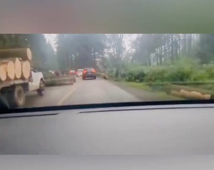 Ataque fatal de talamontes contra familia que viajaba a las Lagunas de Zempoala