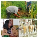 comunicado047a_2025b