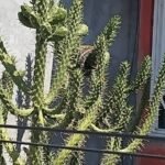 579344459_1156923186629930_6535417930490405803_n