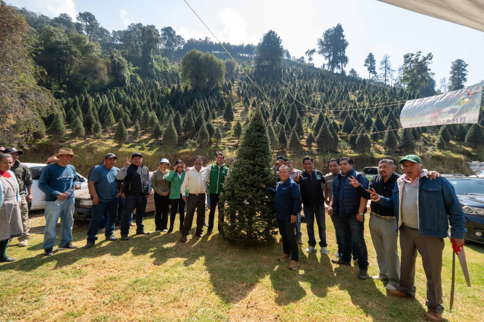 Promueven producción responsable de árboles de Navidad en el Estado de México