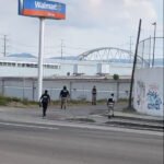 outlet-lerma-puercos