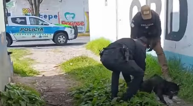 Policía de #Metepec rescata a canino en malas condiciones en unidad deportiva