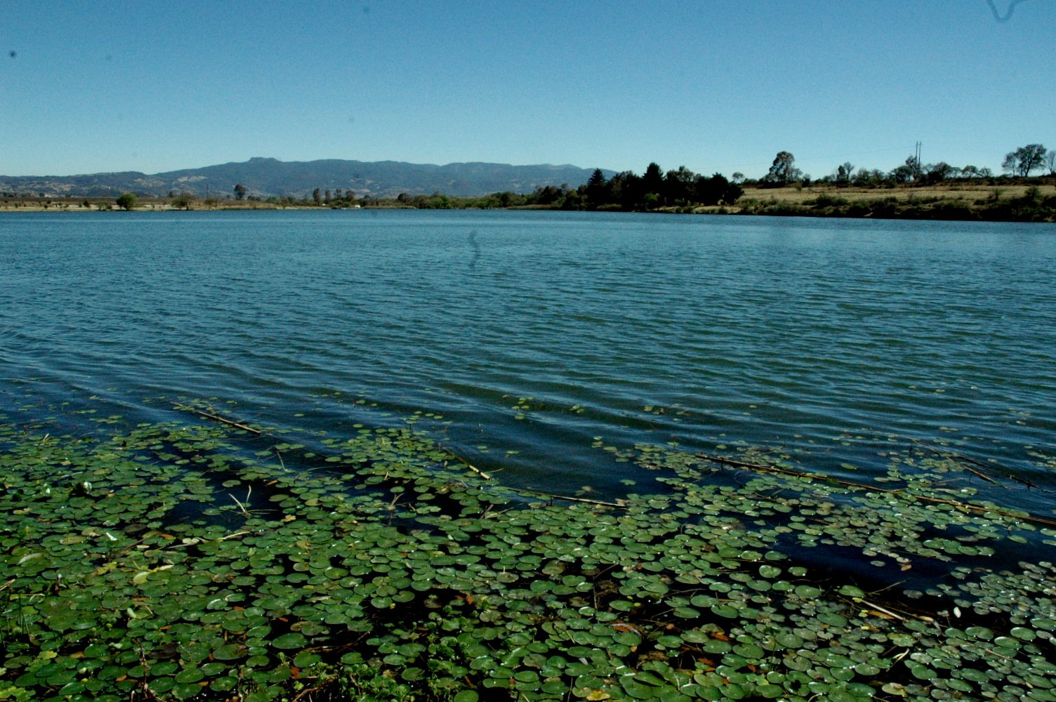 Presea Edoméx 2025 reconocerá a ciudadanos que impulsan la protección ambiental