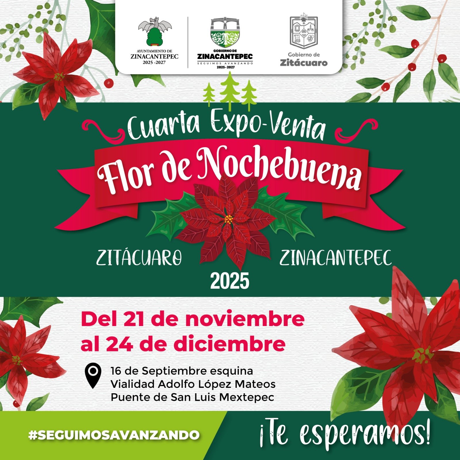 #Zinacantepec convoca a la Cuarta Expo Venta de Flor de Nochebuena 2025