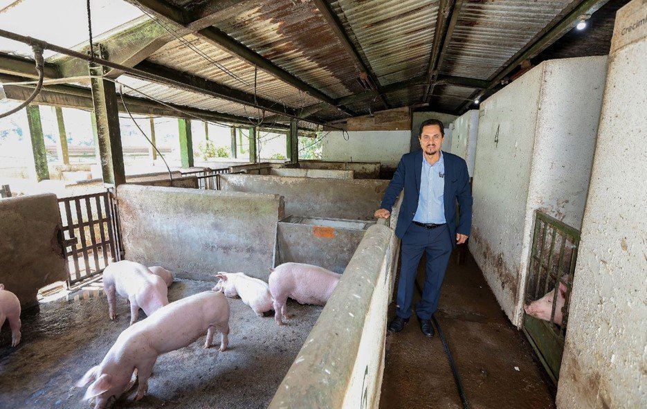 Investigador de la UAEMéx Simula el Apocalipsis Porcino: Calcula el Impacto de una Plaga que Podría Paralizar la Economía Nacional