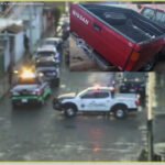 anycript_thumbnail_1(1)