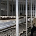 El Estado de México concentra el 8.9% del empleo formal del país w2_12690_1