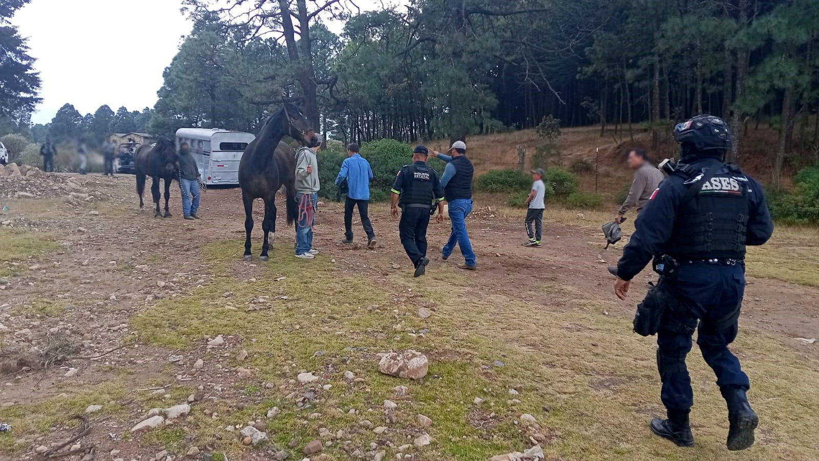 Capturan en #Acambay caballo de un millón de pesos que estaba arrendado al Estado Mayor Presidencial