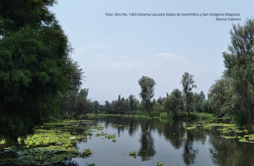 México cumple 40 años en la Convención Ramsar: el papel clave de los humedales en la biodiversidad y la cultura